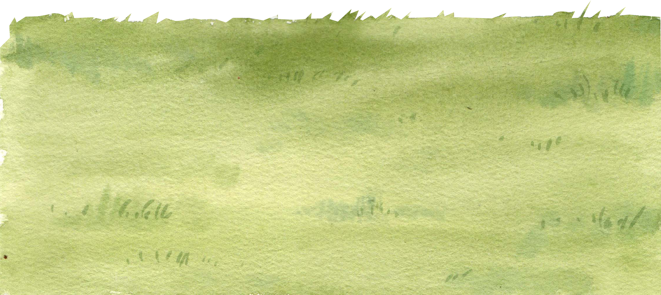 Green Grass Field Watercolor