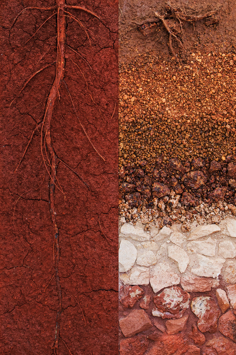 Comparison of good quality soil layers with low soil quality occurring in nature