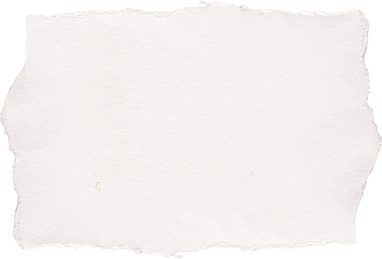 Ripped paper texture blank page